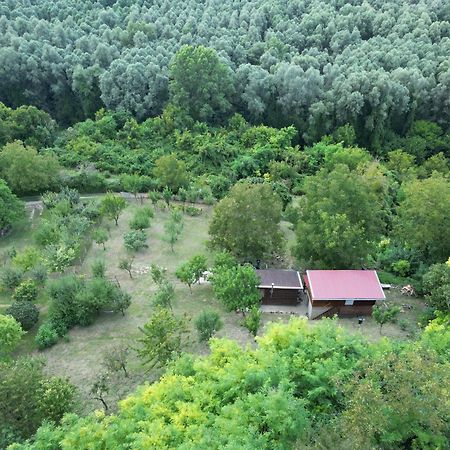 Odmor Za Dusu I Tijelo U Srcu Prirode Vila Aljmaš Exterior foto