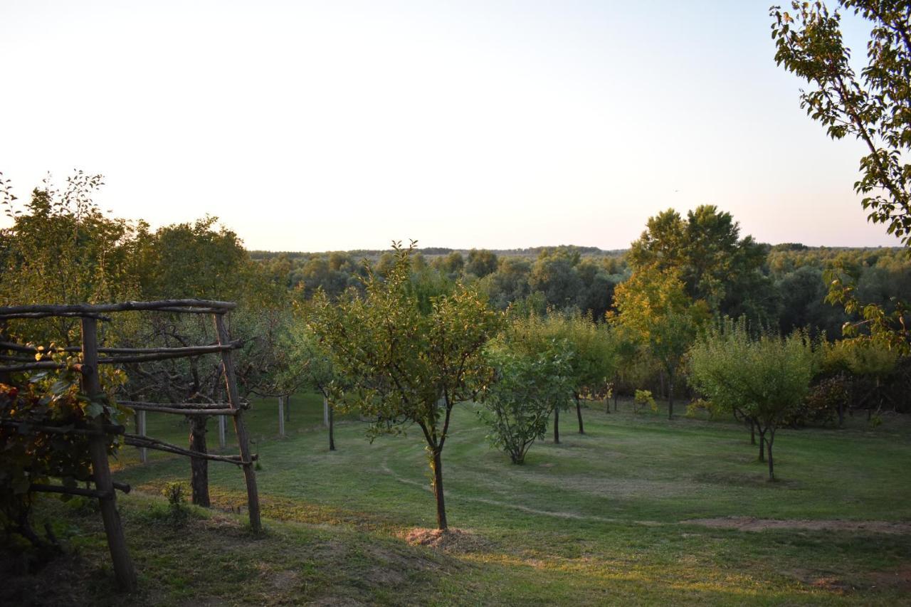 Odmor Za Dusu I Tijelo U Srcu Prirode Vila Aljmaš Exterior foto